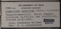 Image Associated With the Occurence